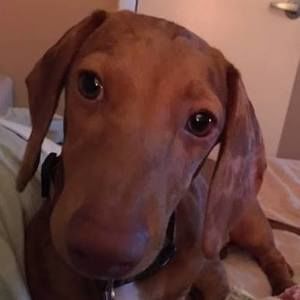 Meet your Posher Florida Finds!